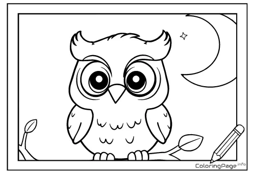 Online coloring page Night Owl