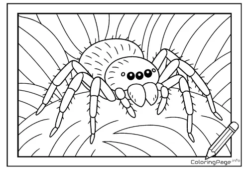 Online coloring page In the Spider’s Eyes