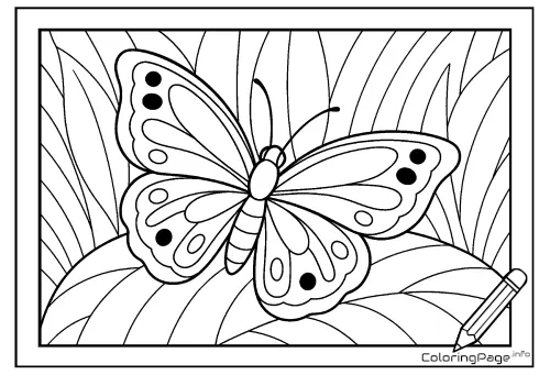 Online coloring page Butterfly
