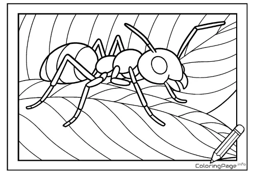 Online coloring page Ant on a Leaf