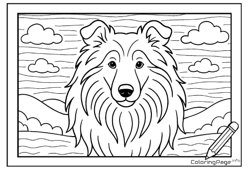 Online coloring page Rough Collie Portrait
