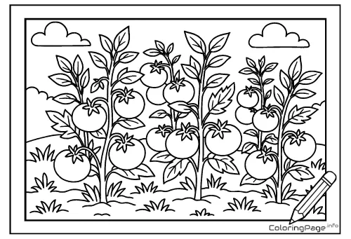 Online coloring page Tomato Plants