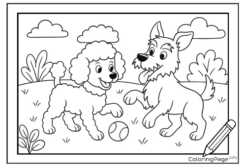 Online coloring page Poodle and Schnauzer with a Ball