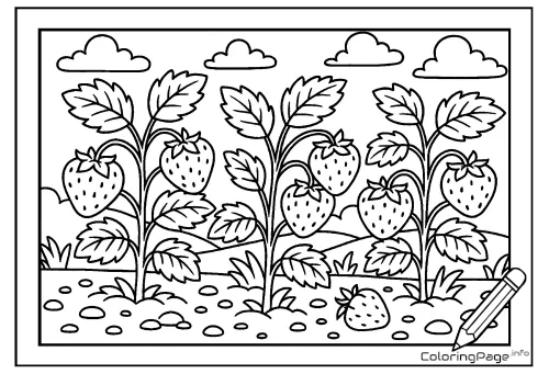 Online coloring page Strawberry Plants