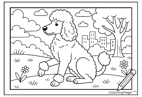 Online coloring page Standard Poodle in the Park