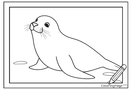 Online coloring page Seal and Rocks