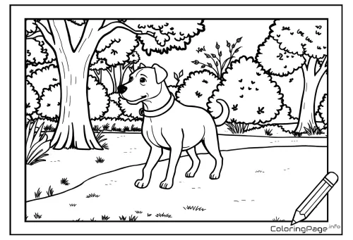 Online coloring page Dog in the Park