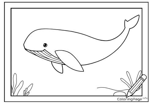 Online coloring page Happy Whale