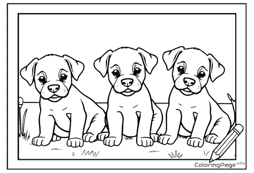 Online coloring page Three Puppies