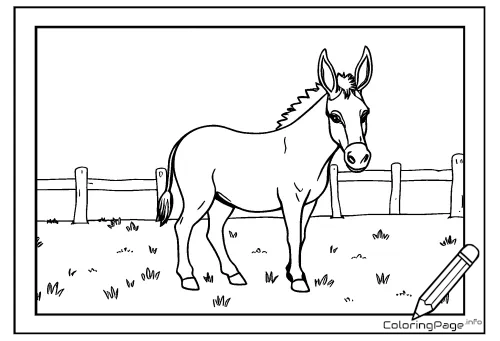 Online coloring page Little Donkey in the Field