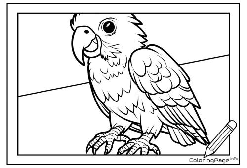 Online coloring page Talking Parrot